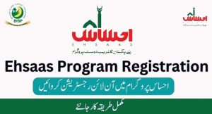 Ehsaas8171Program