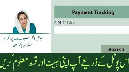 BISP Payment Tracking